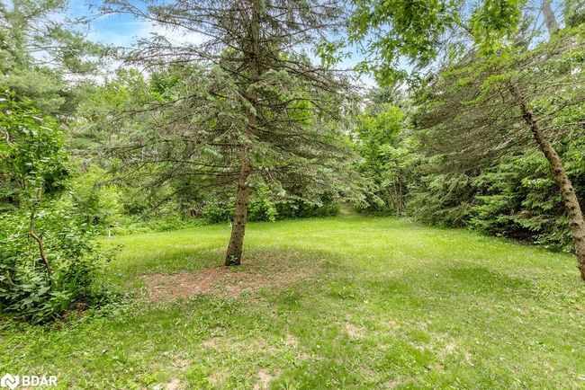 1175 Carson Rd, House other with 5 bedrooms, 2 bathrooms and 6 parking in Springwater ON | Image 37