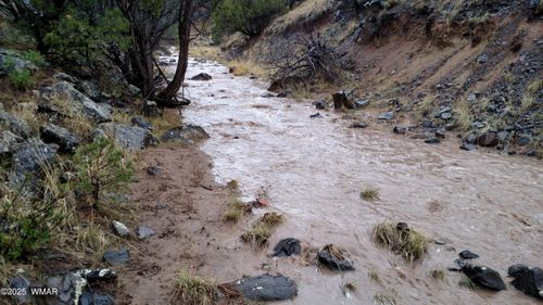 TBD 3196, Vernon, AZ, 85940 | Card Image