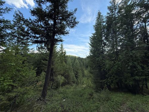 NHN Yelping Coyote Run, Trego, MT, 59934 | Card Image