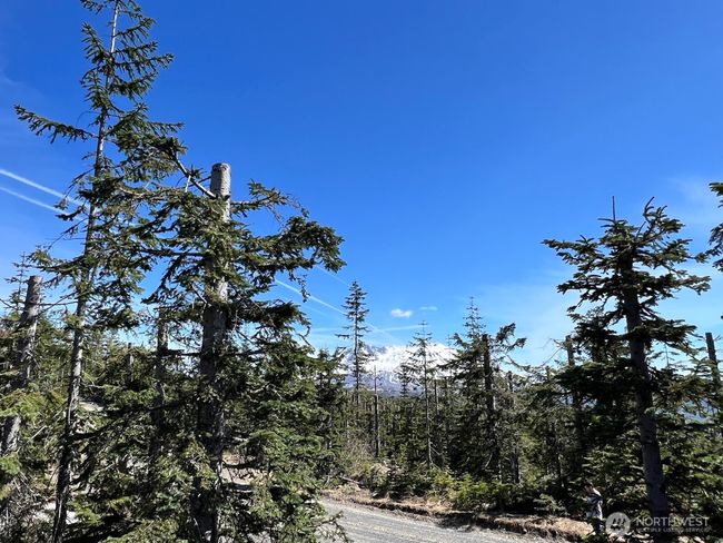 0 xxxx Spirit Lake Hwy, Home with 0 bedrooms, 0 bathrooms and null parking in Stevenson WA | Image 36