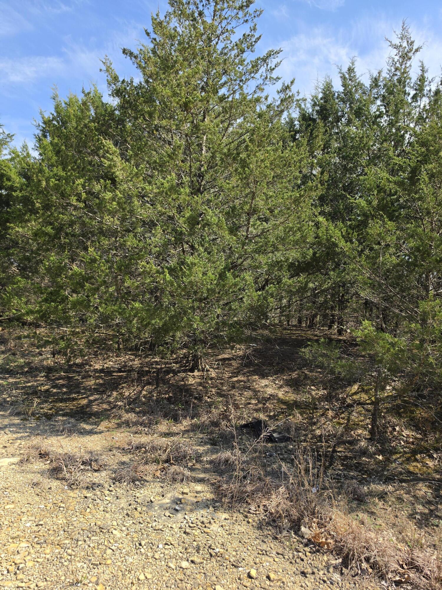 Land in Branson 2