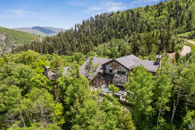 Aerial view of property and surrounding area with a forest | Image 73