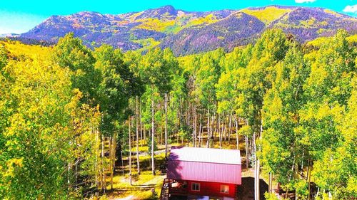 613 Alamosa Ave, Del Norte, CO, 81132 | Card Image