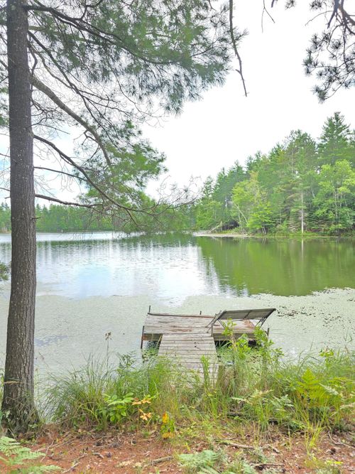 8659N N Bluegill Rd, Winter, WI, 54896 | Card Image
