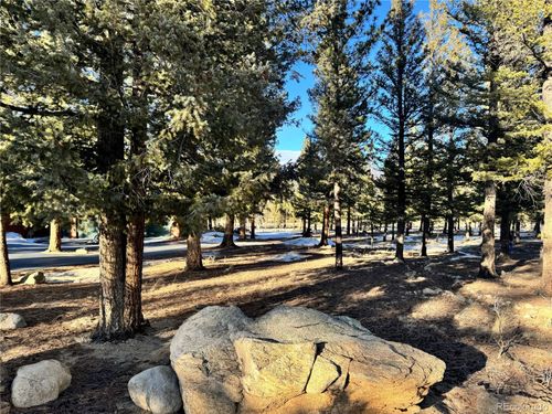 30470 Harvard Cir, Buena Vista, CO, 81211-8601 | Card Image