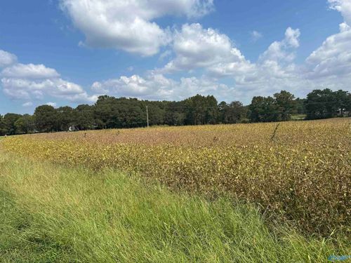 1929 North Carlisle Street, Albertville, AL, 35951 | Card Image