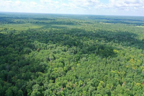 TBD 279th Ave, Laporte, MN, 56461 | Card Image