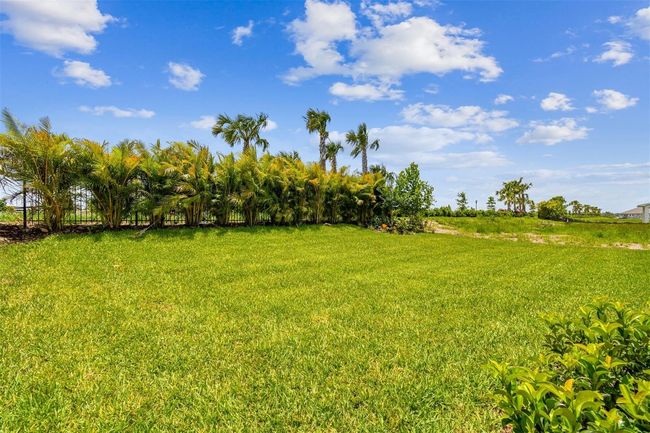 Backyard | Image 38