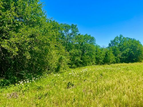 Lot 36 Kilkenny Rd, Poolville, TX, 76487 | Card Image