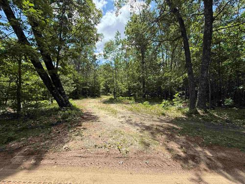 VL Carpenter Road, Grant Township, MI, 48770 | Card Image