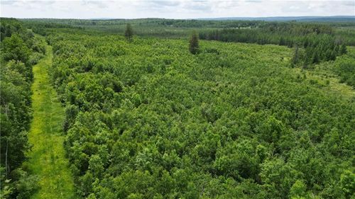 80 Acres Off Of Highway 40, RADISSON, WI, 54867 | Card Image