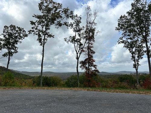 Lot 173 Shagbark Court, Ellijay, GA, 30541 | Card Image
