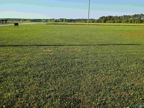 lot-43-925 County Road 1042, centre, AL, 35960 | Card Image