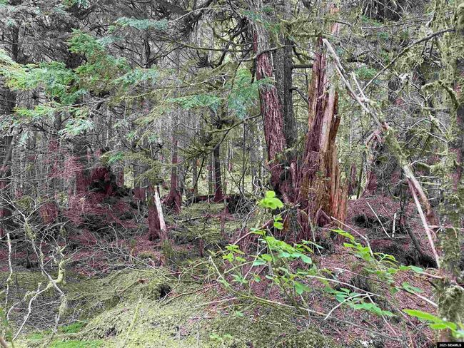 LOT-2-BLOCK-1 - NHN Legal Address Only, Home with 0 bedrooms, 0 bathrooms and null parking in Ketchikan AK | Image 10