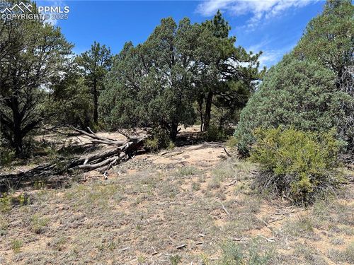 216 W View Rd, Cotopaxi, CO, 81223-8500 | Card Image