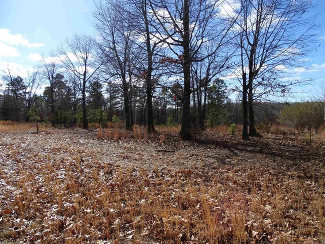 1163 Fee Hollow Ter, House other with 4 bedrooms, 3 bathrooms and null parking in Yellville AR | Image 31