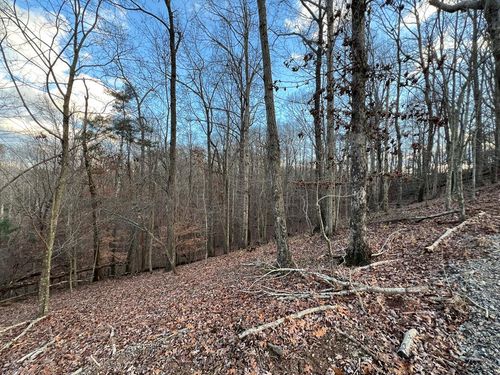 Lot 403 Crown Court, Ellijay, GA, 30540 | Card Image