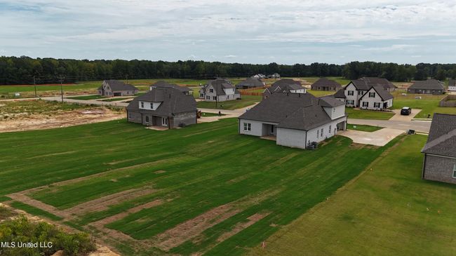 Yard | Image 46