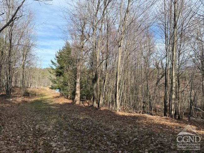 0 Campbell Rd, Home with 0 bedrooms, 0 bathrooms and null parking in Windham NY | Image 17