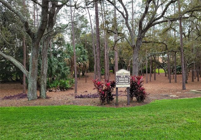More Green Space & Plenty of Directional Signage | Image 25