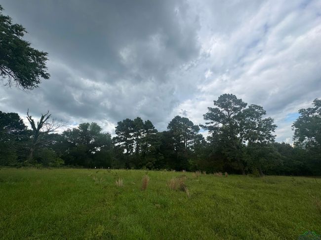 TBD 2174 Tbd 2174, Home with 0 bedrooms, 0 bathrooms and null parking in Tatum TX | Image 9
