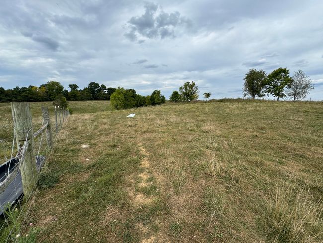 2076 Bald Hill Rd, Home with 5 bedrooms, 1 bathrooms and null parking in Hillsboro KY | Image 24