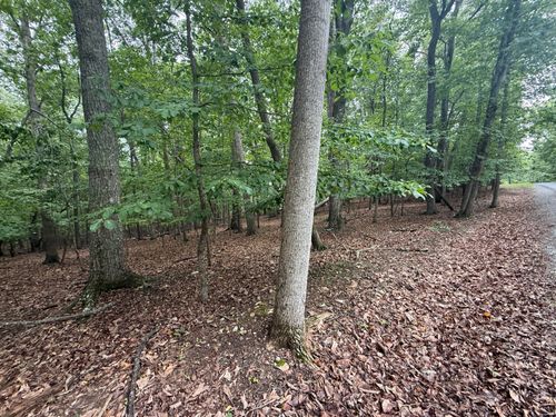 Lot 17 Saunders Point Rd, Huddleston, VA, 24104 | Card Image
