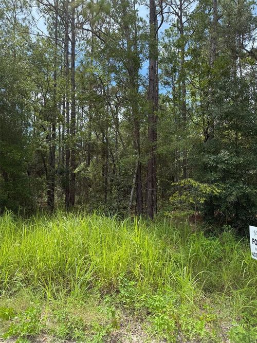 4500 Sw 175th Ct, DUNNELLON, FL, 34432-2184 | Card Image