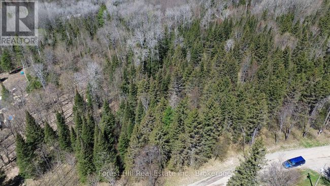 27 Old Nipissing Road N Road, Home with 0 bedrooms, 0 bathrooms and null parking in Parry Sound Remote Area (Pringle) ON | Image 9