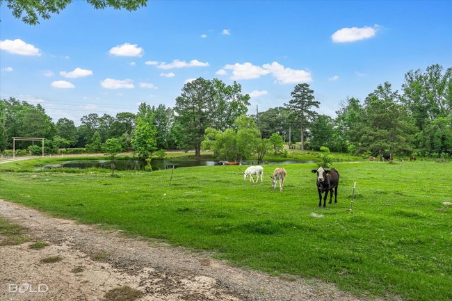 Surrounding community with a water view and view of scattered trees | Image 28