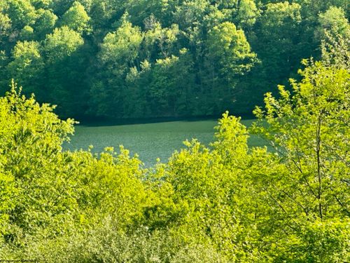 570 Lakeview Dr, Horner, WV, 26372-7710 | Card Image