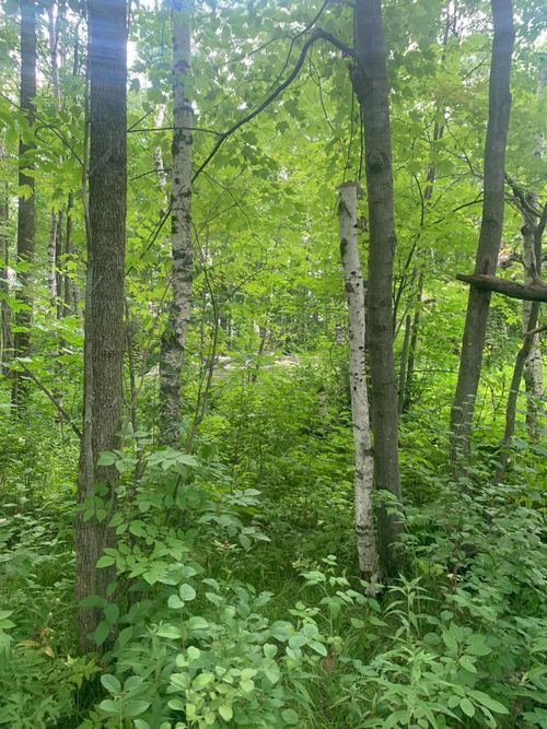 XXX Highway 23, Brook Park, MN, 55007 | Card Image