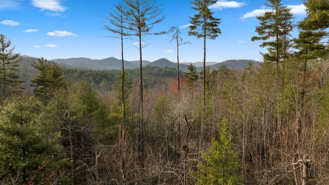 81 Morgan Trl, Home with 3 bedrooms, 3 bathrooms and null parking in Epworth GA | Image 52