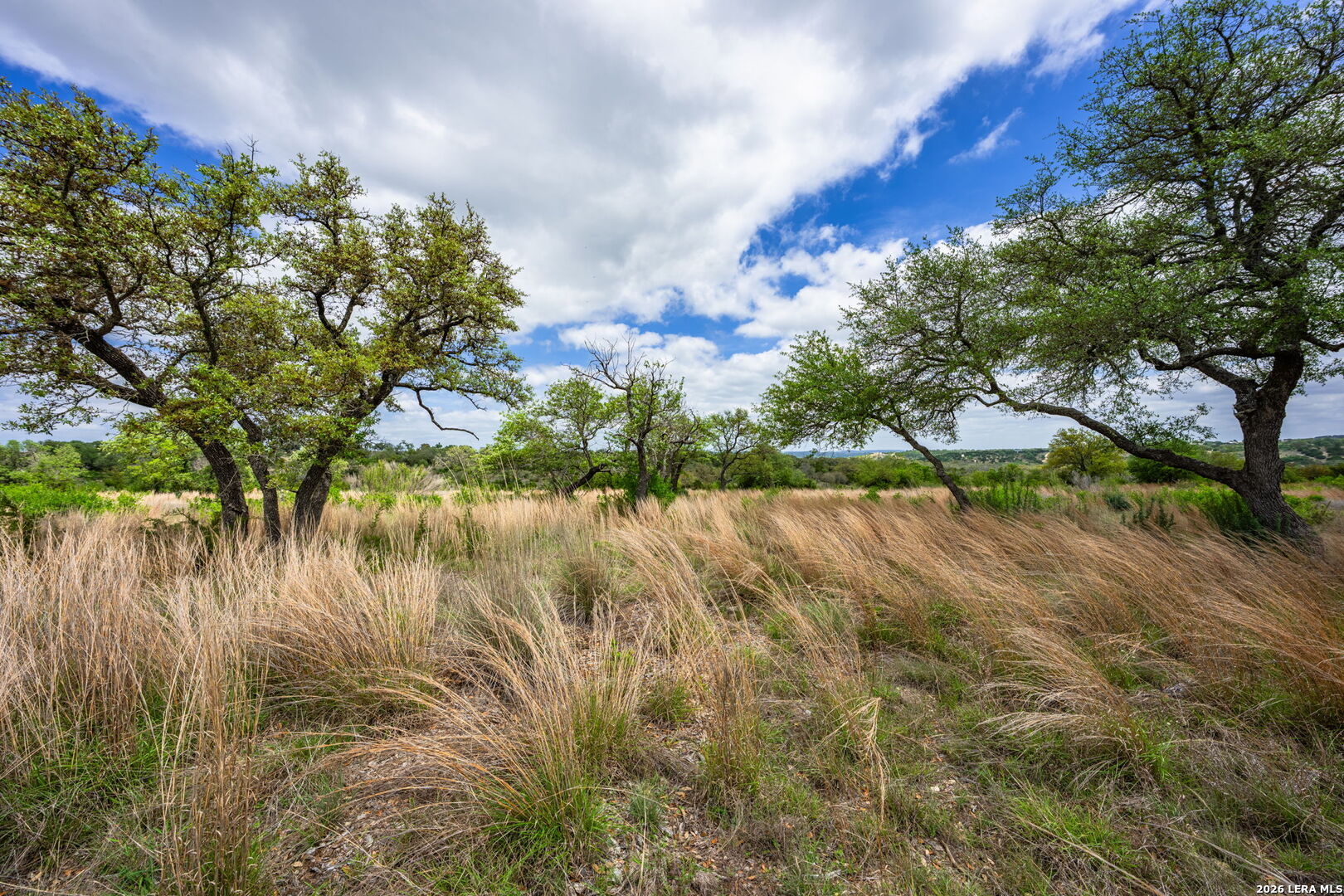 Land in Kerrville 4