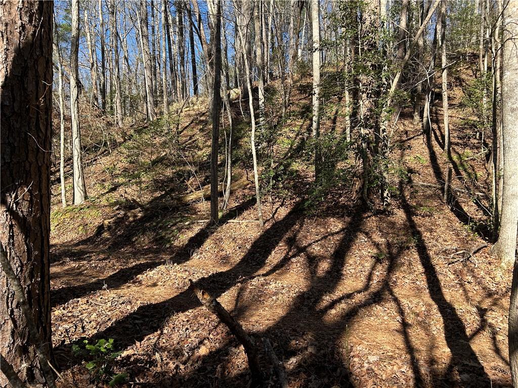 Land in Demorest 4