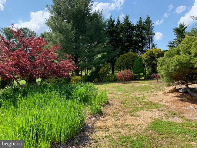 6502 Old Middletown Rd, House other with 3 bedrooms, 3 bathrooms and null parking in MIDDLETOWN MD | Image 78