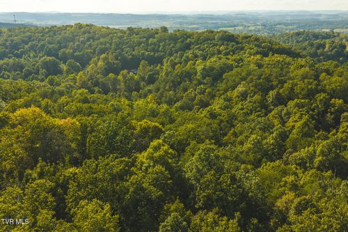 8.62 Ac Stone Mtn Road, Bulls Gap, TN, 37711 | Card Image