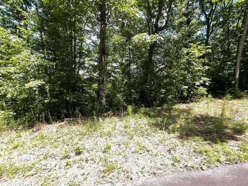 Lot 16 Big Cove Dr, Hiawassee, GA, 30546 | Card Image