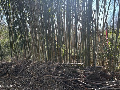 1153 Army St, Knoxville, TN, 37920 | Card Image