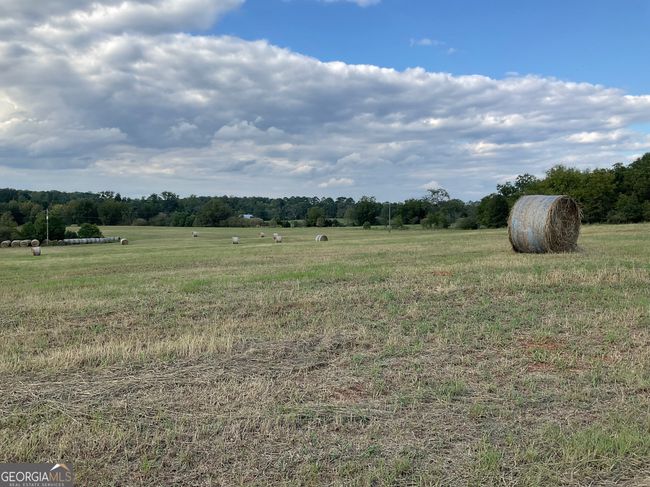 5773 Post Rd, Home with 0 bedrooms, 0 bathrooms and null parking in MONTICELLO GA | Image 33