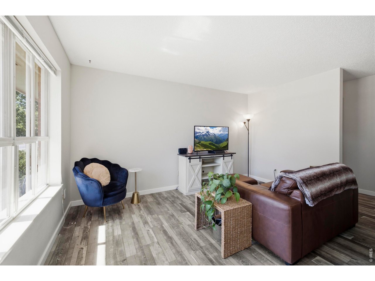 Residential in Fort Collins 4