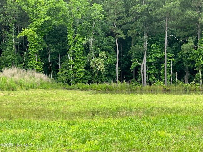 3330 Mccaskey Rd, Home with 0 bedrooms, 0 bathrooms and null parking in Williamston NC | Image 5