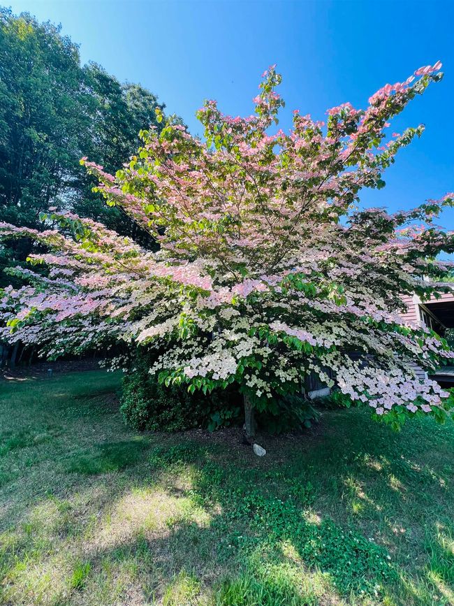 112 Breezy Acres Dr, House other with 4 bedrooms, 2 bathrooms and null parking in Vernon VT | Image 42