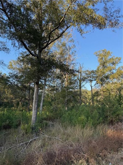 TBD Hwy 442 And Hwy 1065, Tickfaw, LA, 70466 | Card Image