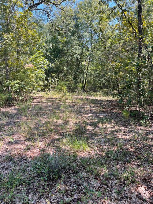 525 Kasey Ln, Aiken, SC, 29803-9173 | Card Image
