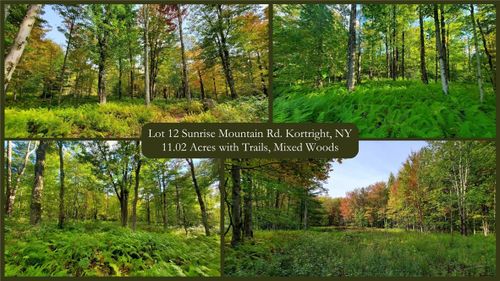 12 Sunrise Mountain Rd, Bloomville, NY, 13739 | Card Image