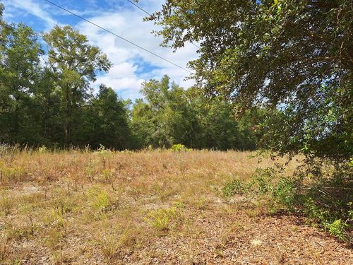 TBD Sw County Road 138, FORT WHITE, FL, 32038 | Card Image