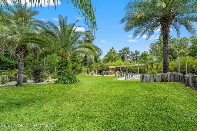 26221 Pheasant Run, House other with 4 bedrooms, 3 bathrooms and null parking in Wesley Chapel FL | Image 77