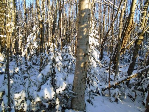 6677 S Lark Cir, Wasilla, AK, 99623-8835 | Card Image