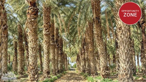 0 Swc Pierce St & Ave 58, Thermal, CA, 92274 | Card Image